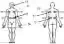 Fig. 01 - METHOD FOR DETERMINING A PLURALITY OF ACTION POTENTIALS IN THE HEART