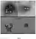 Fig. 14 - Method for fabricating microneedle-based diagnostic skin patch coated with aptamer and patch