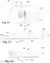 Fig. 10 - MEDICAL SYSTEM