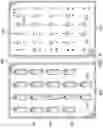Fig. 07 - Antigen regional testing kit