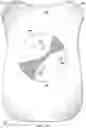 Fig. 18 - Electrode Patch