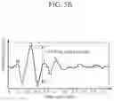 Fig. 10 - Apparatus and method for estimating blood pressure
