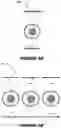 Fig. 05 - Spatial resolution in molecular and radiological imaging