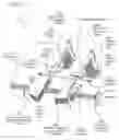 Fig. 87 - METHODS AND DEVICES TO DECREASE TISSUE TRAUMA DURING SURGERY