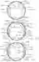 Fig. 11 - Surgical stapler anvils with staple directing protrusions and tissue stability features