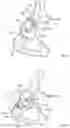Fig. 03 - PATIENT-SPECIFIC ACETABULAR GUIDES AND ASSOCIATED INSTRUMENTS