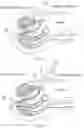 Fig. 09 - Causing ischemia in tumors