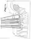 Fig. 20 - Spinal fixation tool attachment structure