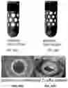 Fig. 23 - Method and system for consistent, repeatable, and safe cryospray treatment of airway tissue