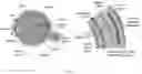 Fig. 02 - Method for stimulating retinal cells and treating vision loss