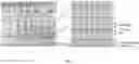 Fig. 03 - Method for stimulating retinal cells and treating vision loss