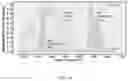Fig. 12 - Method for stimulating retinal cells and treating vision loss