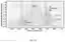 Fig. 13 - Method for stimulating retinal cells and treating vision loss