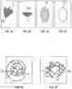 Fig. 06 - Nasal implants, delivery tools, systems, and methods of use