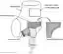 Fig. 02 - LIQUID PROPHYLACTIC ANKLE BRACE