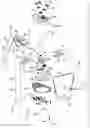 Fig. 01 - Therapy device for neck and spine