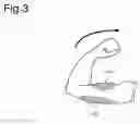 Fig. 03 - Seat device