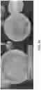 Fig. 27 - Adapter for use in a planetary mixer