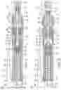 Fig. 02 - Intradermal injection device