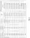 Fig. 09 - Composition comprising thiol, alkene and phosphonic acid containing compounds for use as a primer for adhesion improvement