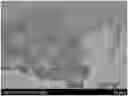 Fig. 01 - SKIN COSMETIC