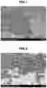 Fig. 02 - SKIN COSMETIC