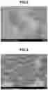 Fig. 03 - SKIN COSMETIC