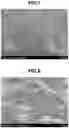 Fig. 05 - SKIN COSMETIC