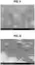 Fig. 07 - SKIN COSMETIC
