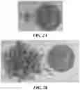 Fig. 03 - Sublingual Cannabis Dosage Form and Methods of Making and Using the Same