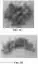Fig. 04 - Sublingual Cannabis Dosage Form and Methods of Making and Using the Same
