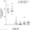 Fig. 33 - AEROSOL DELIVERY SYSTEMS, COMPOSITIONS AND METHODS