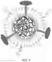 Fig. 10 - Vaccine nanotechnology