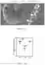Fig. 16 - Vaccine nanotechnology