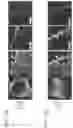 Fig. 22 - Vaccine nanotechnology