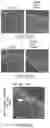 Fig. 38 - Vaccine nanotechnology