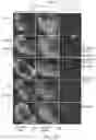 Fig. 43 - Vaccine nanotechnology