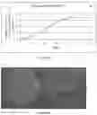 Fig. 10 - Artificial cell constructs for cellular manipulation
