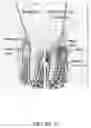 Fig. 12 - Artificial cell constructs for cellular manipulation