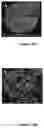 Fig. 16 - Artificial cell constructs for cellular manipulation