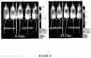 Fig. 26 - Artificial cell constructs for cellular manipulation