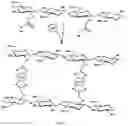 Fig. 03 - MONOLITHIC TABLETS BASED ON CARBOXYL POLYMERIC COMPLEXES FOR CONTROLLED DRUG RELEASE
