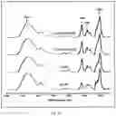 Fig. 14 - MONOLITHIC TABLETS BASED ON CARBOXYL POLYMERIC COMPLEXES FOR CONTROLLED DRUG RELEASE