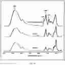 Fig. 15 - MONOLITHIC TABLETS BASED ON CARBOXYL POLYMERIC COMPLEXES FOR CONTROLLED DRUG RELEASE