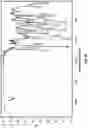 Fig. 05 - DRUG DELIVERY SYSTEMS AND METHODS FOR PREPARATION THEREOF