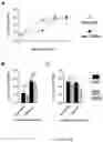 Fig. 03 - FORMULATION FOR PROTECTION THROUGH CONTROLLED RELEASE OF MICROPARTICLES CONTAINING RECOMBINANT OUTER MEMBRANE VESICLES