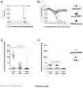 Fig. 04 - FORMULATION FOR PROTECTION THROUGH CONTROLLED RELEASE OF MICROPARTICLES CONTAINING RECOMBINANT OUTER MEMBRANE VESICLES