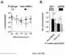 Fig. 05 - FORMULATION FOR PROTECTION THROUGH CONTROLLED RELEASE OF MICROPARTICLES CONTAINING RECOMBINANT OUTER MEMBRANE VESICLES
