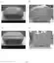 Fig. 04 - Microencapsulated chitosan, methods of making and methods for the use thereof