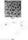 Fig. 04 - Protein-polymer hybrid biomaterials